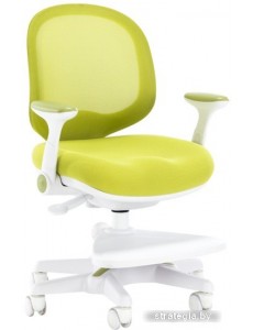 Детский ортопедический стул Everprof Kids 102 (зеленый)