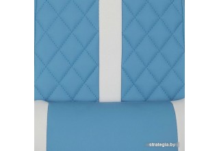 AksHome Sprinter Eco 74998 (голубой/белый)