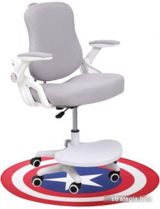 Компьютерное кресло AksHome Swan (серый)