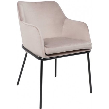 Алвест AV 318 (светло-коричневый бархат H-61/черный)