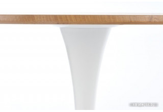 Halmar Sting 80 (дуб золотой/белый)