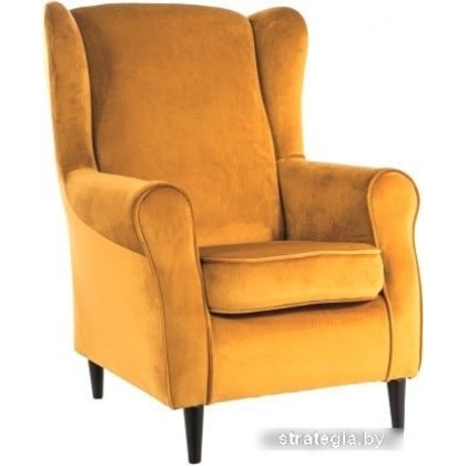 Signal Baron Velvet Bluvel 68 (карри)