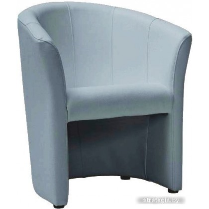 Signal TM-1 (серый)