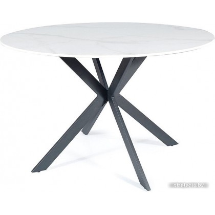 Signal Talia TALIABCFI120 (белый/черный)