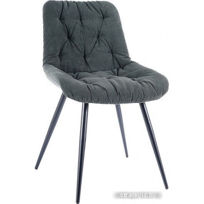 Signal Praga Sztruks (fjord 79 зеленый/черный матовый)