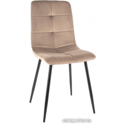 Signal Ivo Velvet (bluvel 40 темно-бежевый/черный)