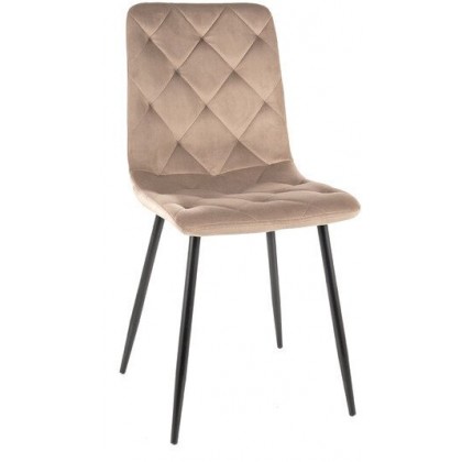 Signal Jerry Velvet (bluvel 40 темно-бежевый/черный)