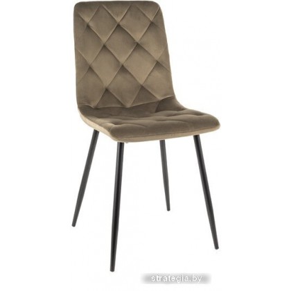 Signal Jerry Velvet (bluvel 77 оливковый/черный)