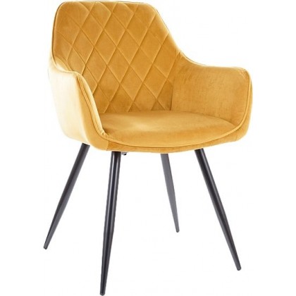 Signal Linea Velvet (bluvel 68 карри/черный)