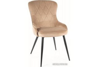 Signal Lotus Velvet (bluvel 28 бежевый/черный)