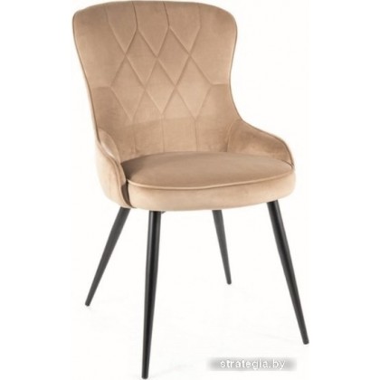 Signal Lotus Velvet (bluvel 28 бежевый/черный)