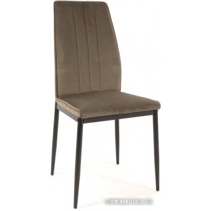 Signal ATom Velvet (bluvel 77 оливковый/черный)