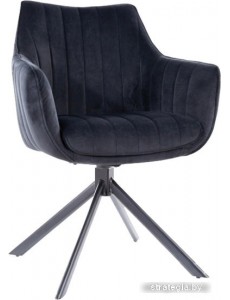 Стул с подлокотниками Signal Azalia Velvet (bluvel 19 черный/черный)