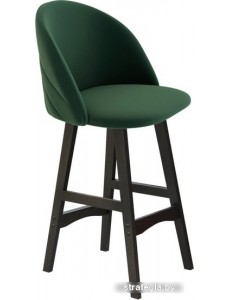 Стул Sheffilton SHT-ST35-2/S65-1 (лиственно-зеленый/венге)