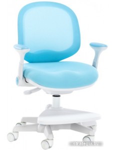 Детский ортопедический стул Everprof Kids 102 (голубой)