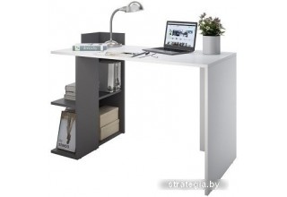 Домус СП017 белый/серый (левый)