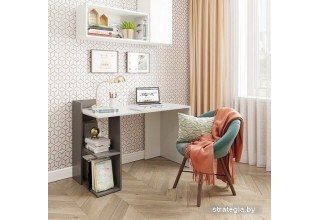 Домус СП017 белый/серый (левый)