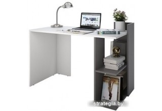 Домус СП017 белый/серый (правый)