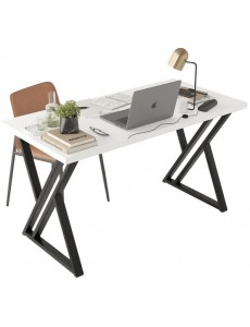 Стол Домус Гранд 12.016.401.02 (белый/металл черный)