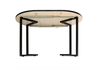 Sheffilton SHT-T41/100-140 (статуарио венато/черный)