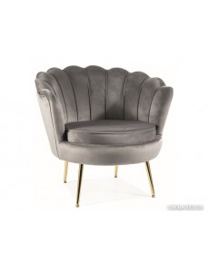 Интерьерное кресло Signal Camellia Velvet Bluvel 14 (серый/золотой)
