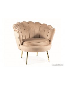 Интерьерное кресло Signal Camellia Velvet Bluvel 28 (бежевый/золотой)