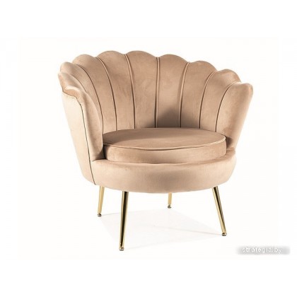 Signal Camellia Velvet Bluvel 28 (бежевый/золотой)