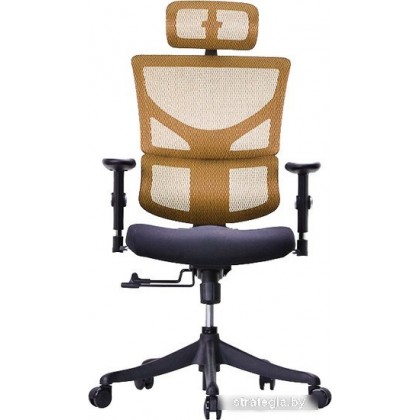 Ergostyle Sail-E SAE-MF01 (оранжевый)