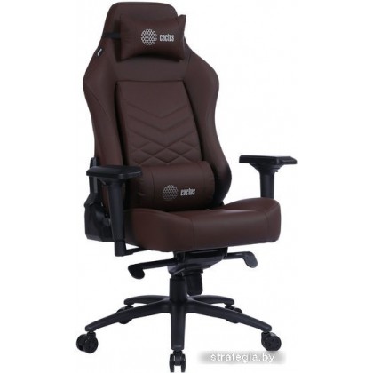 CACTUS CS-CHR-0112BR (коричневый)