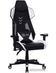 Кресло CACTUS CS-CHR-090BLW (черный/белый)