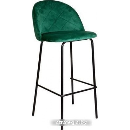 AksHome Icon (зеленый велюр/черный)