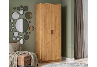 Шкаф распашной NN мебель ШК 2 (дуб золотой)