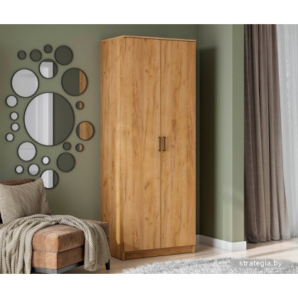 Шкаф распашной NN мебель ШК 2 (дуб золотой)