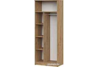 Шкаф распашной NN мебель ШК 2 (дуб золотой)