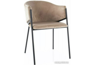 Signal Bono Velvet Bluvel 28 (бежевый/черный)