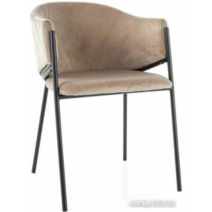 Signal Bono Velvet Bluvel 28 (бежевый/черный)