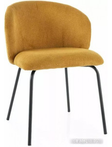 Стул Signal Kevin Vardo 11 (карри/черный)