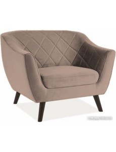 Интерьерное кресло Signal Molly 1 Velvet Bluvel 40 (темно-бежевый/венге)