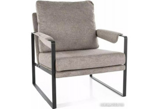 Signal Focus Brego 34 (бежевый/черный)