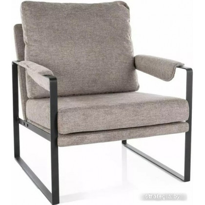 Signal Focus Brego 34 (бежевый/черный)