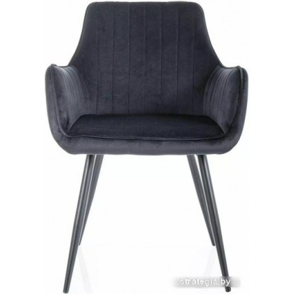 Signal Apple Velvet Bluvel 19 (черный/черный)