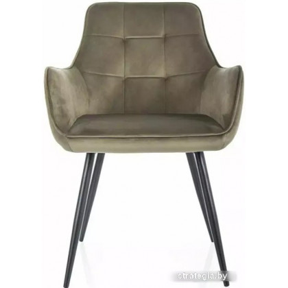 Signal Lemon Velvet 77 (оливковый/черный)