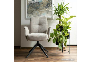 Signal Wing Brego 31 (светло-бежевый)