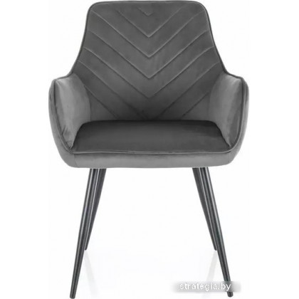 Signal Fig Velvet 14 (темно-серый/черный)