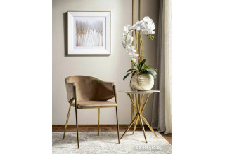 Signal Bono Velvet Bluvel 28 (бежевый/золотой)