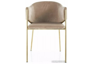 Signal Bono Velvet Bluvel 28 (бежевый/золотой)