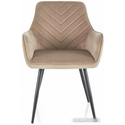 Signal Fig Velvet 8 (бежевый/черный)