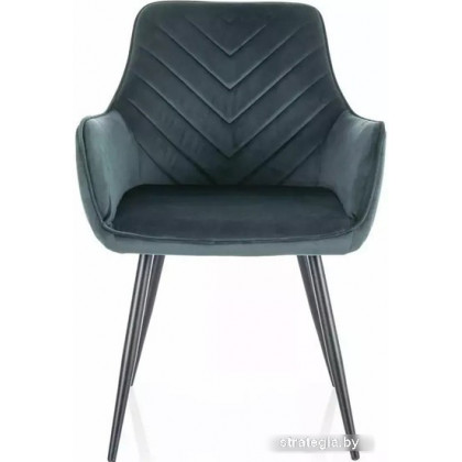 Signal Fig Velvet 78 (зеленый/черный)