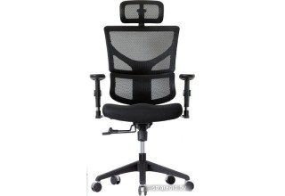 Ergostyle Sail-E SAE-MF01 (черный)