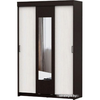 Шкаф-купе NN мебель ШКП 2 (дуб венге/ясень анкор светлый)